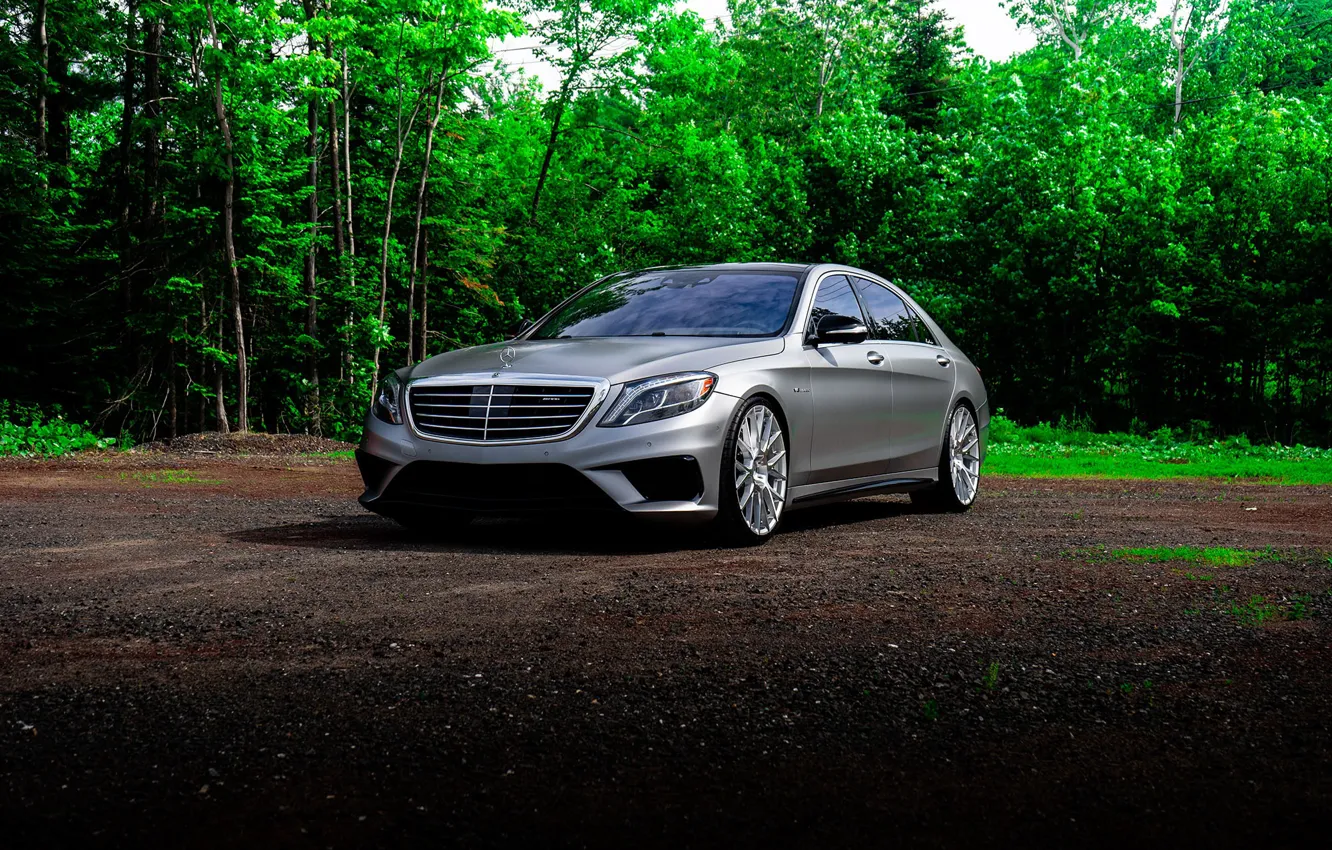 Фото обои Mercedes, Silver, Forest, S-class, W222, S63