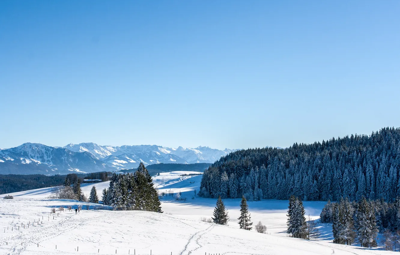 Фото обои зима, лес, небо, снег, голубое, склоны, вершины, вид