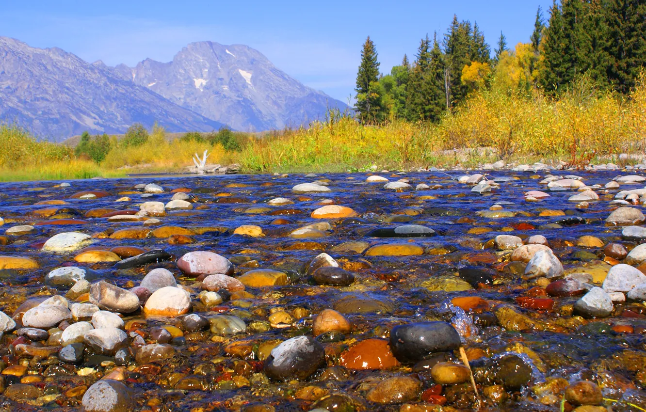 Красивая река с камнями