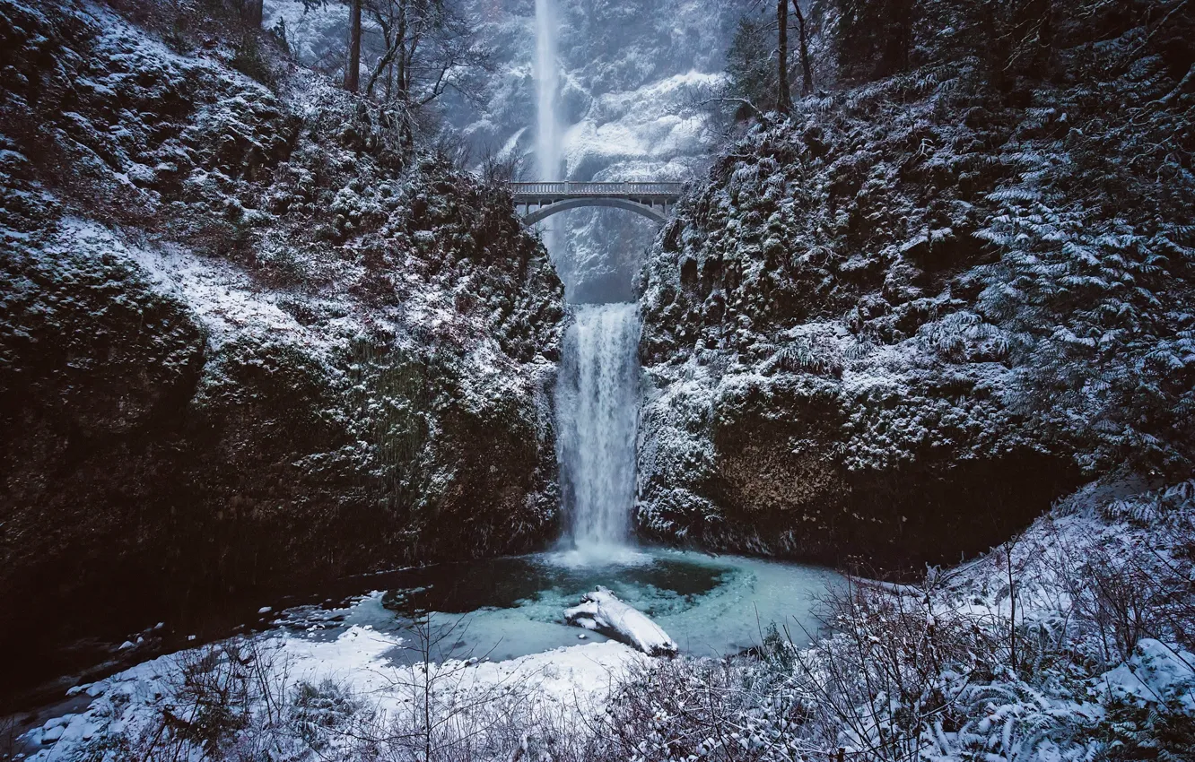 Фото обои зима, лес, снег, пейзаж, горы, природа, водопад, мостик