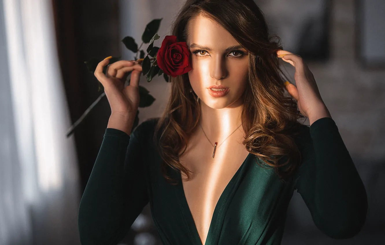 Фото обои цветок, взгляд, девушка, лицо, поза, роза, руки, вырез