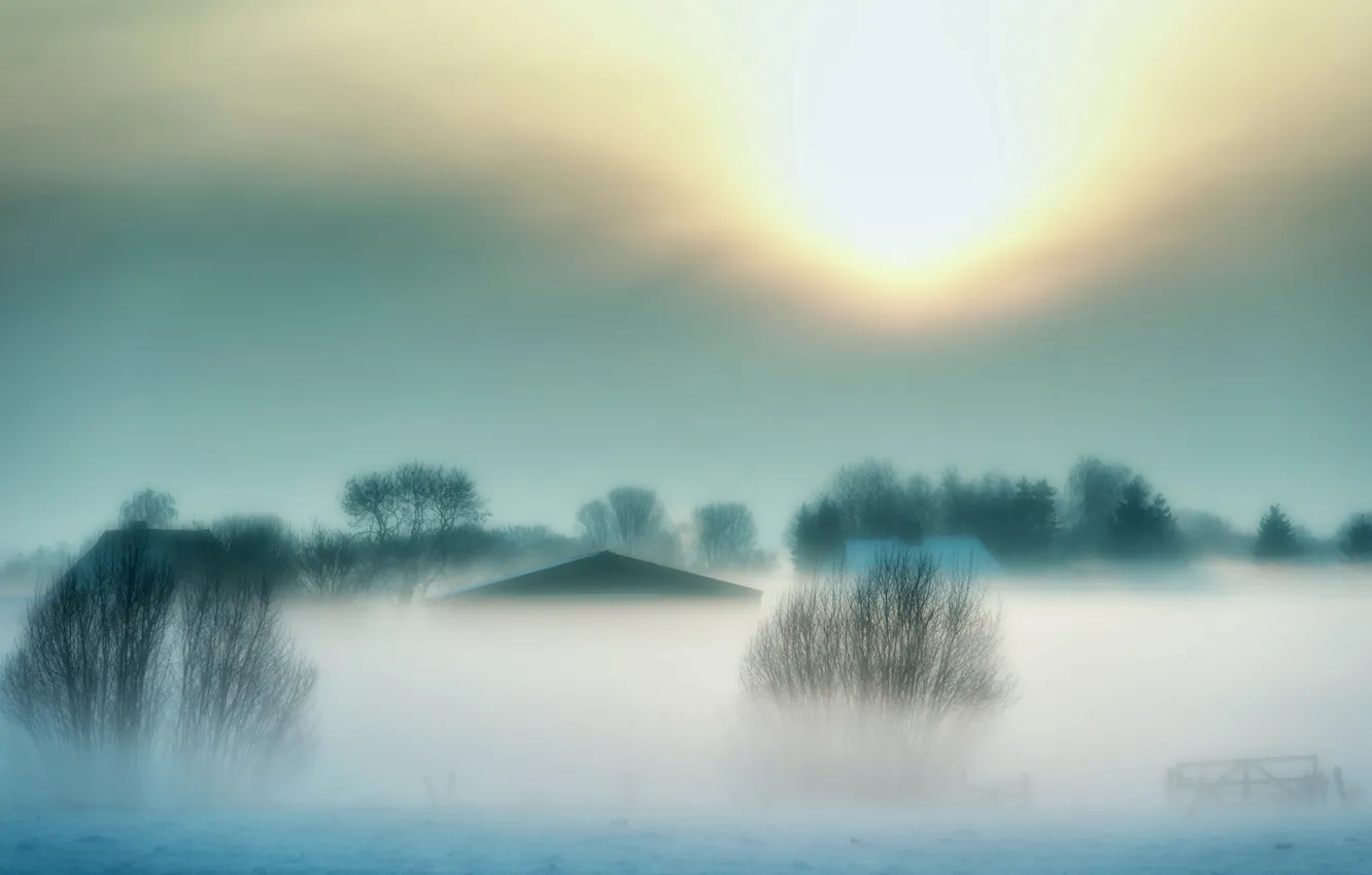 Фото обои зима, пейзаж, туман