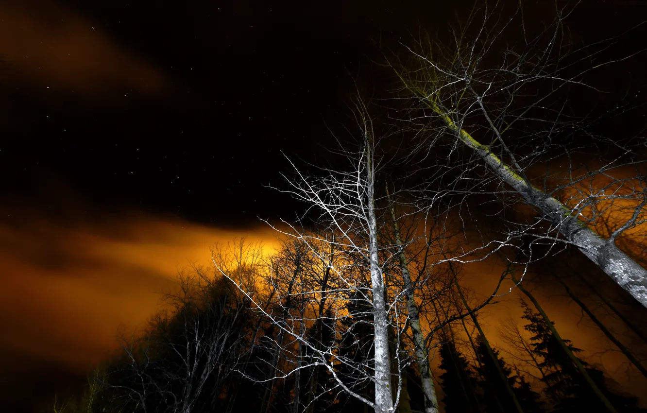 Фото обои небо, ночь, Природа, звёзды, sky, nature, night, stars