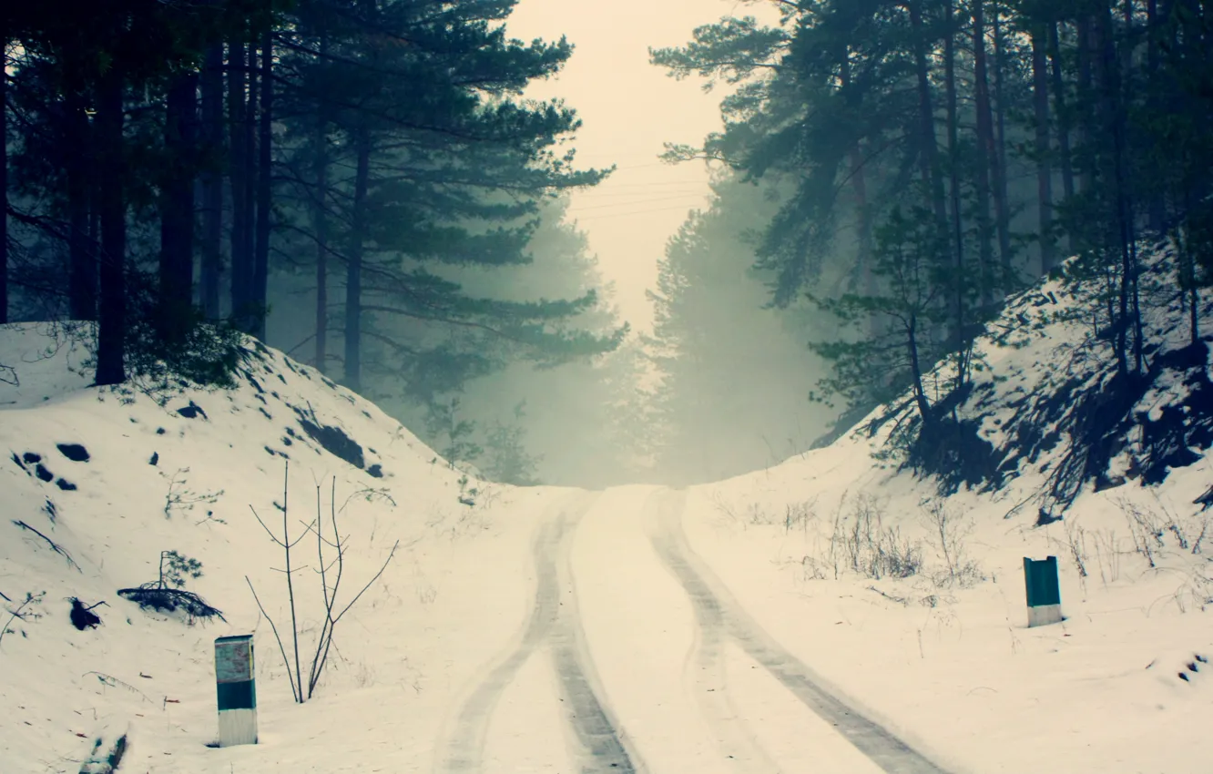 Фото обои зима, дорога, лес, снег, деревья, ветки, природа, туман