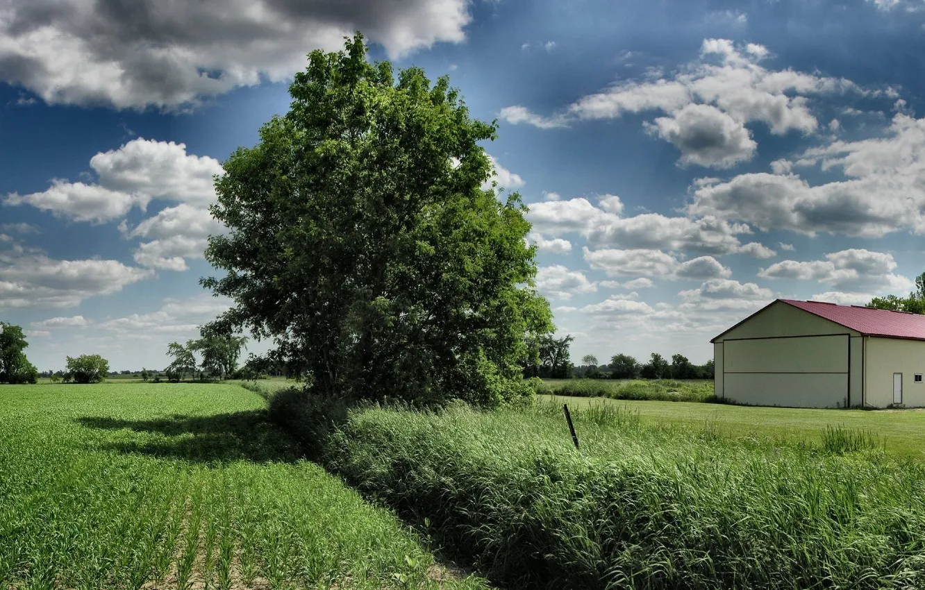 Фото обои поле, трава, деревья, дерево, пейзажи, дома, 3200x1200, widescreen wallpapers