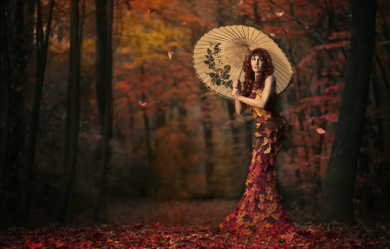 Фото обои листья, девушка, зонт