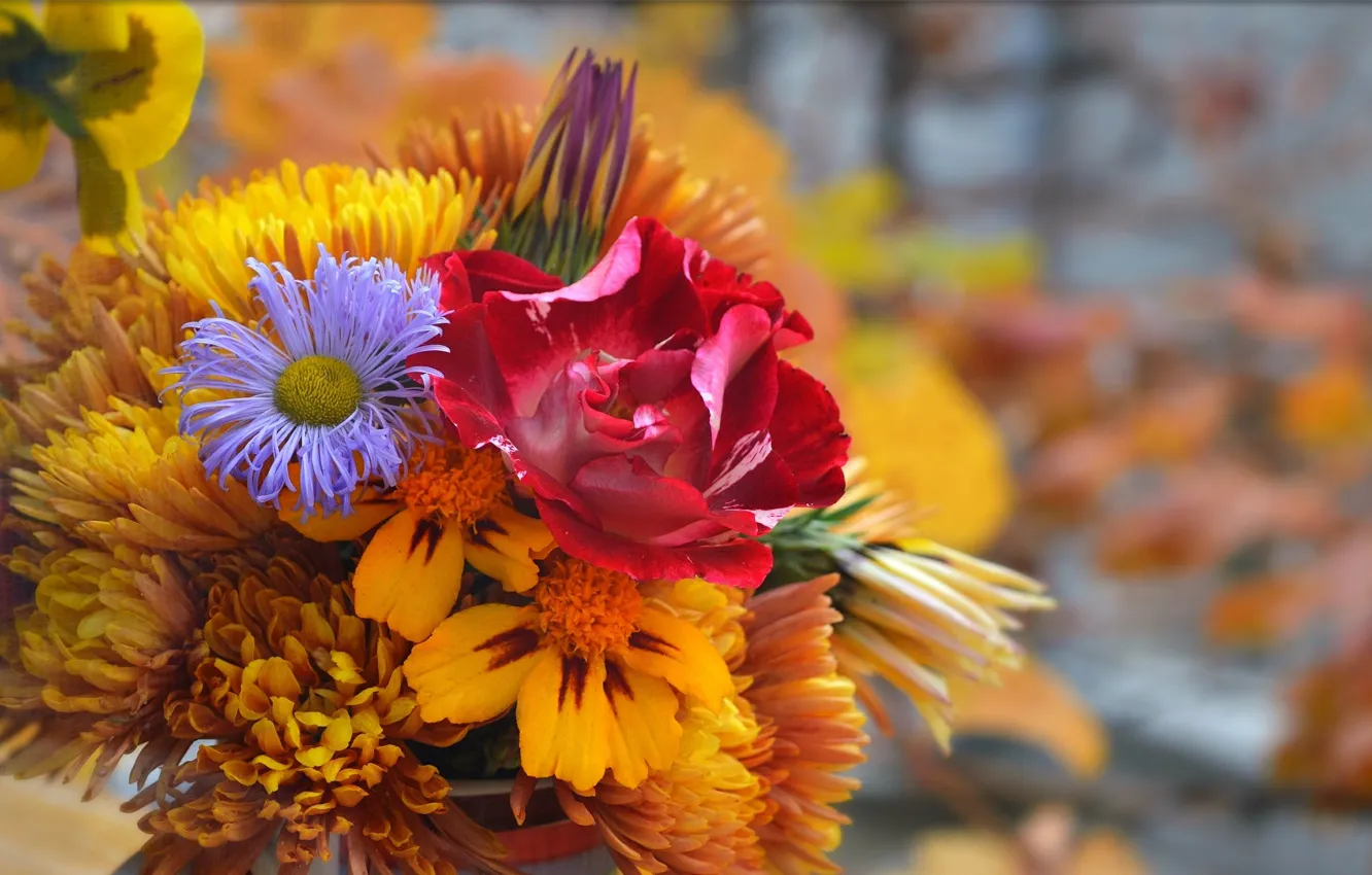 Фото обои Цветы, Букет, Flowers, Colors, Bouquet