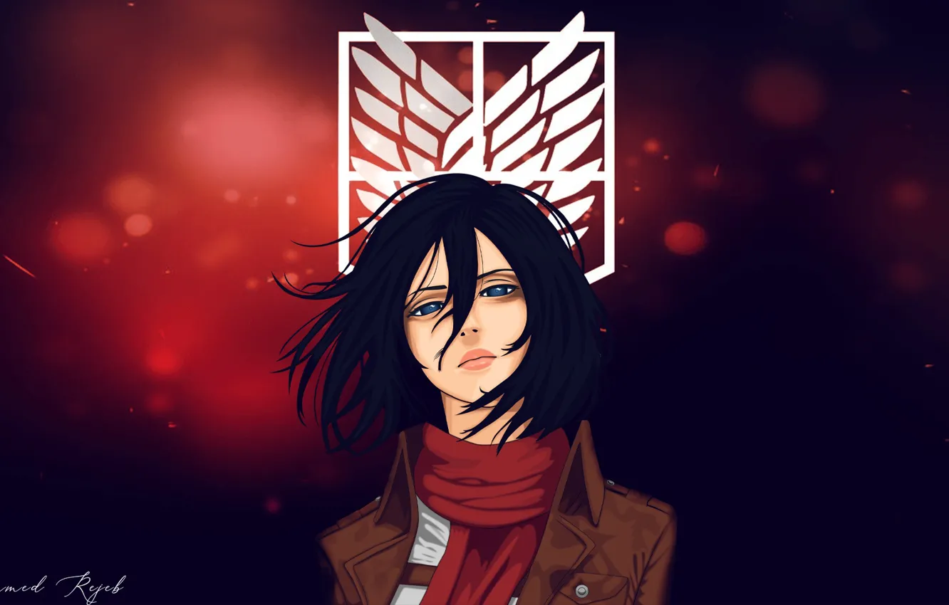 Фото обои взгляд, девушка, Mikasa Ackerman, Атака Титанов, Attack On Titan, Shingeki No Kyojin, Микаса Аккерман