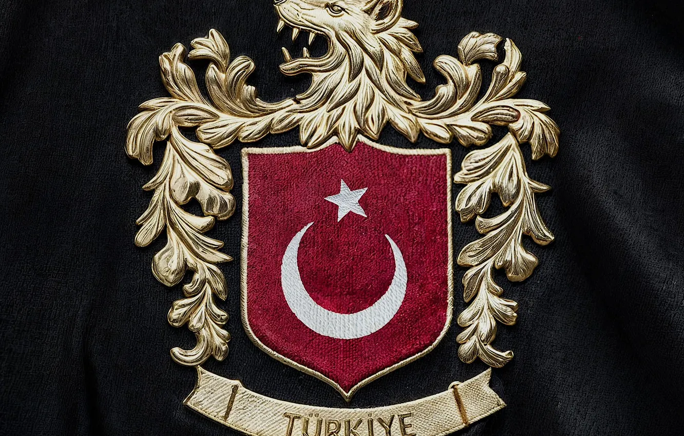 Фото обои TURKEY, turkish flag, BOZKURT
