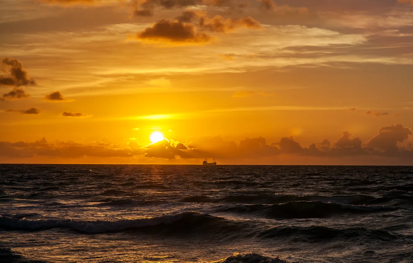 Фото обои море, небо, солнце, облака, рассвет, утро, горизонт