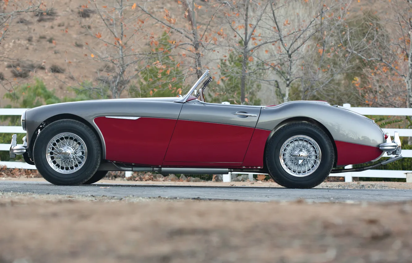 Фото обои ретро, кабриолет, вид сбоку, 1959, Austin Healey, 3000