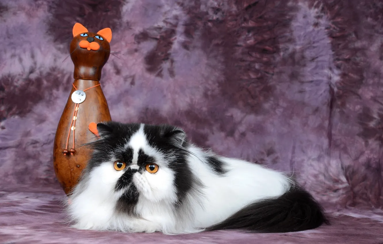 Фото обои кошка, фон, статуэтка, пушистая