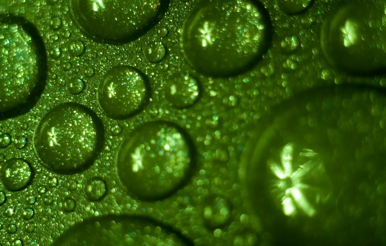 Фото обои green, обои, water, drops