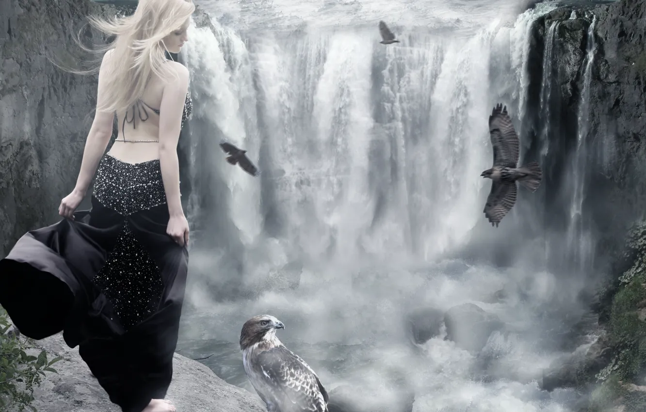 Фото обои вода, девушка, птицы, спина, водопад, платье, блондинка, профиль