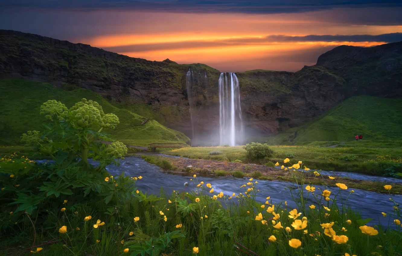 Фото обои закат, цветы, водопад, Исландия