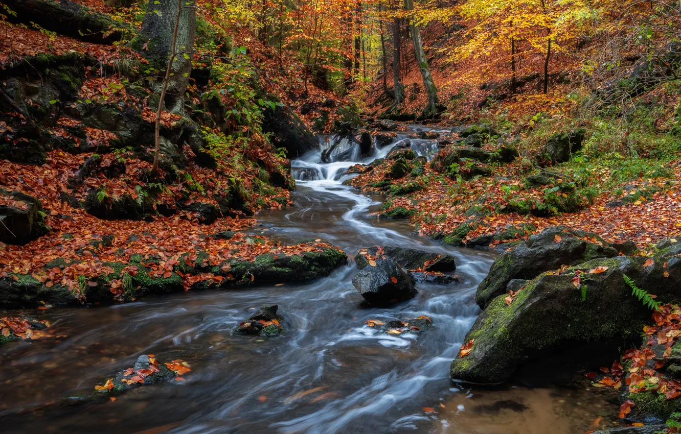 Фото обои осень, лес, ручей, камни, водопад, Германия, речка, каскад