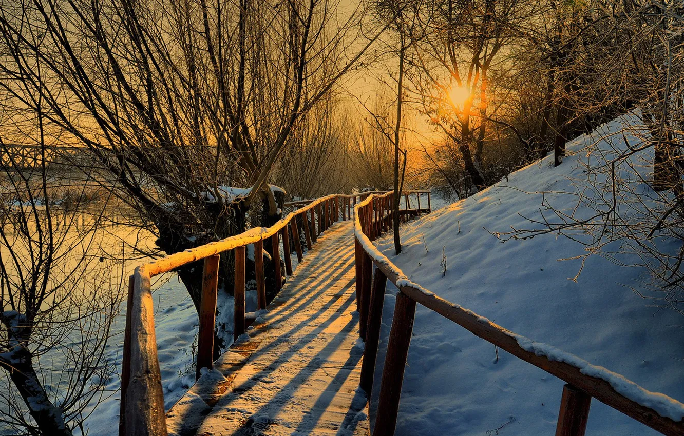 Фото обои солнце, деревья, закат, река, перила, деревянный, мостик, зимний вечер