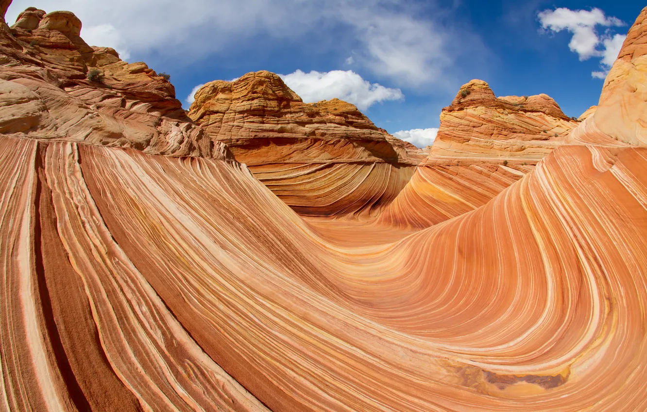 Фото обои небо, облака, линии, скалы, текстура, каньон, Coyote Buttes