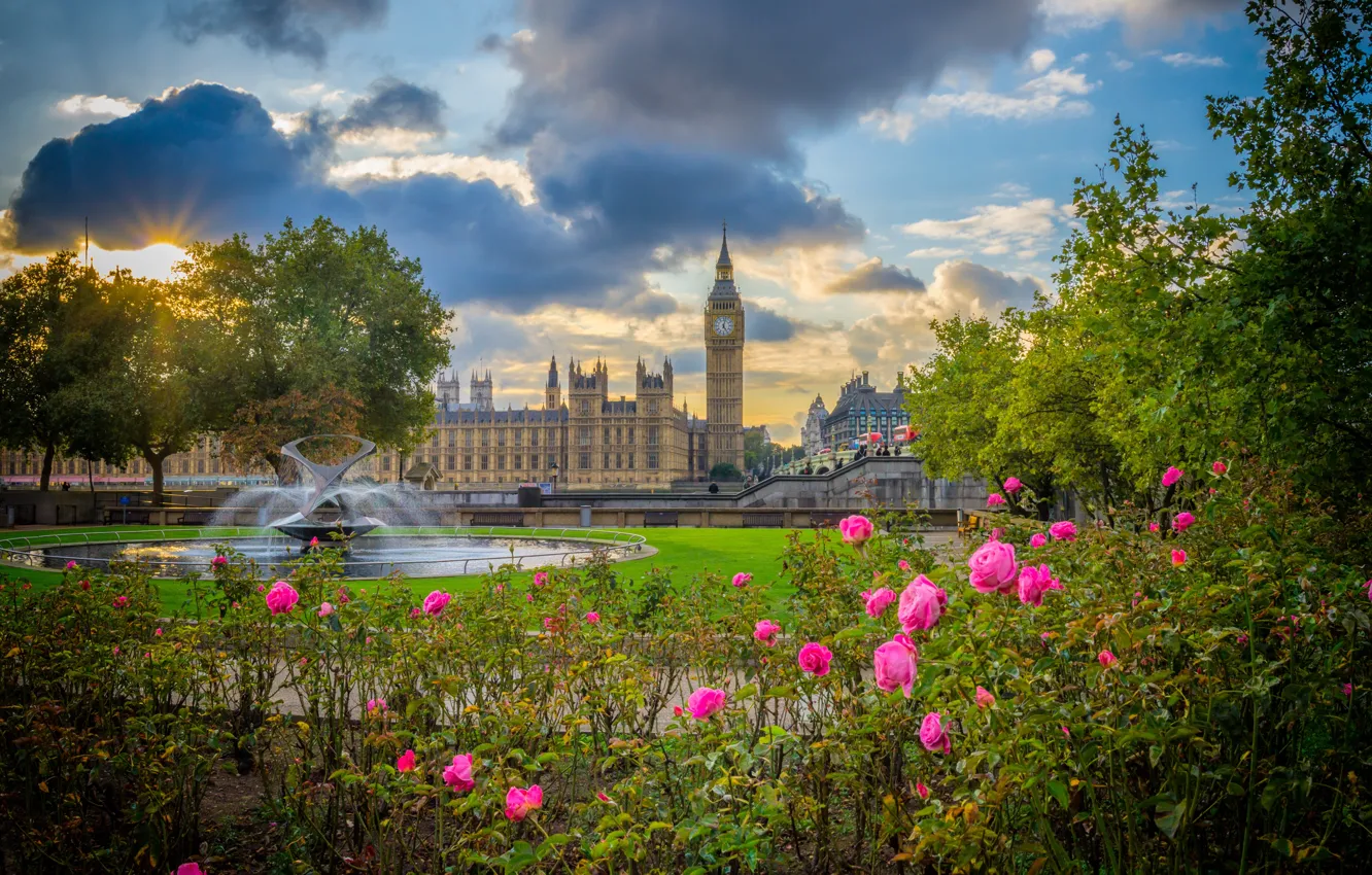 Фото обои цветы, парк, Англия, Лондон, розы, Биг-Бен, фонтан, кусты