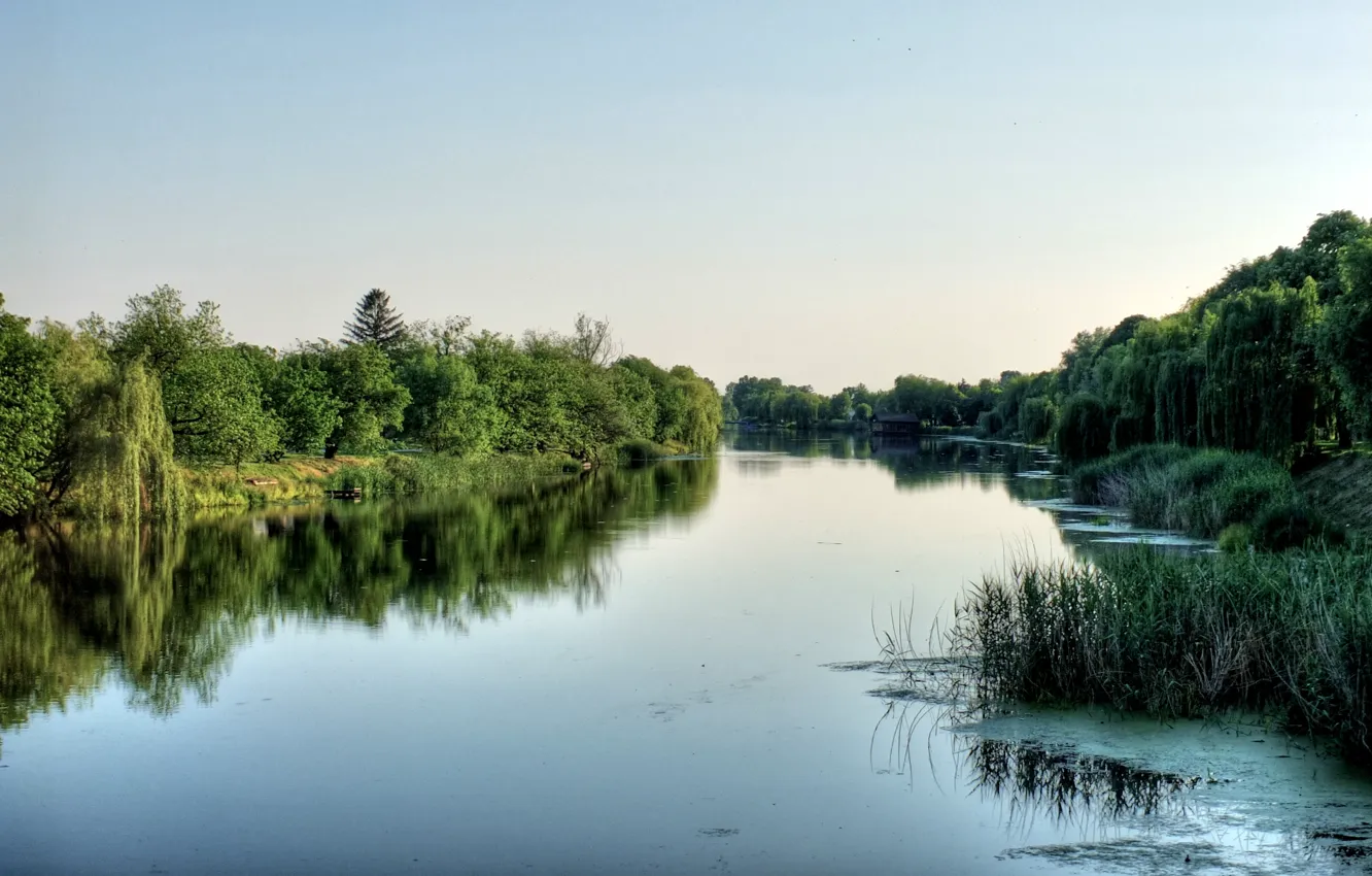 Фото обои green, river, Vinkovci
