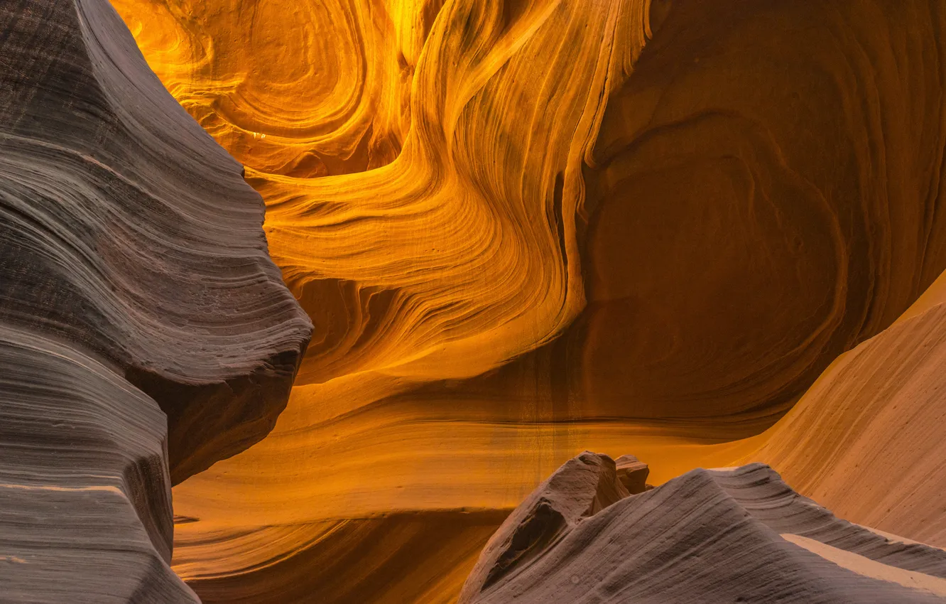 Фото обои каньон, Аризона, США, Arizona, Антилопы