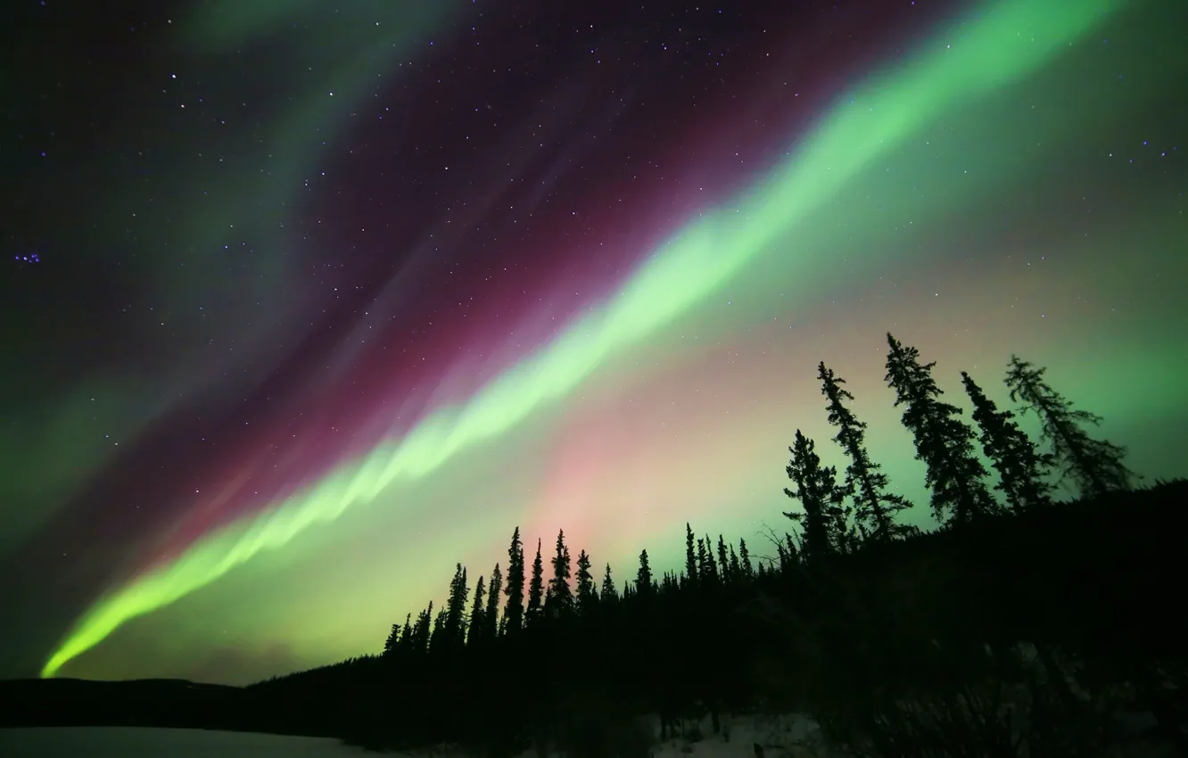 Фото обои звезды, ночь, природа, северное сияние, Aurora Borealis