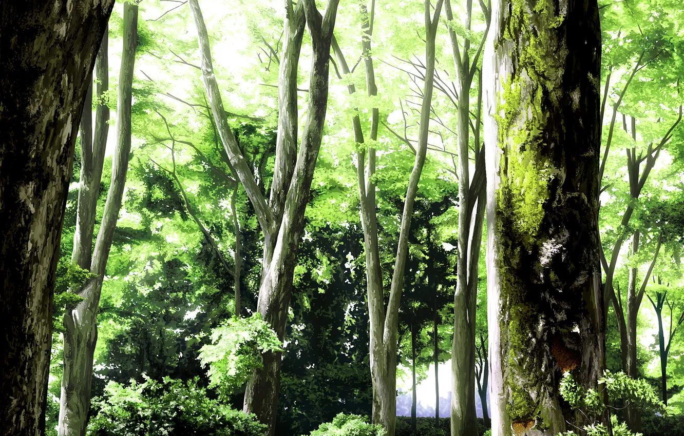 Фото обои лес, деревья, природа, листва, мох, арт, живопись, upscale