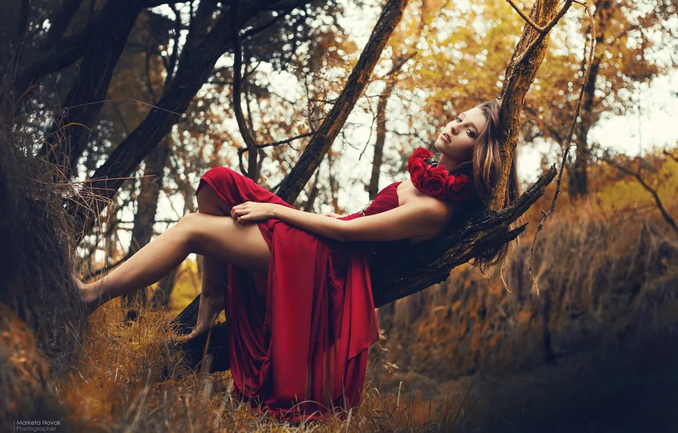 Фото обои Girl, Red, Nature, Model, Women, Dress, Kristýna Valouskova