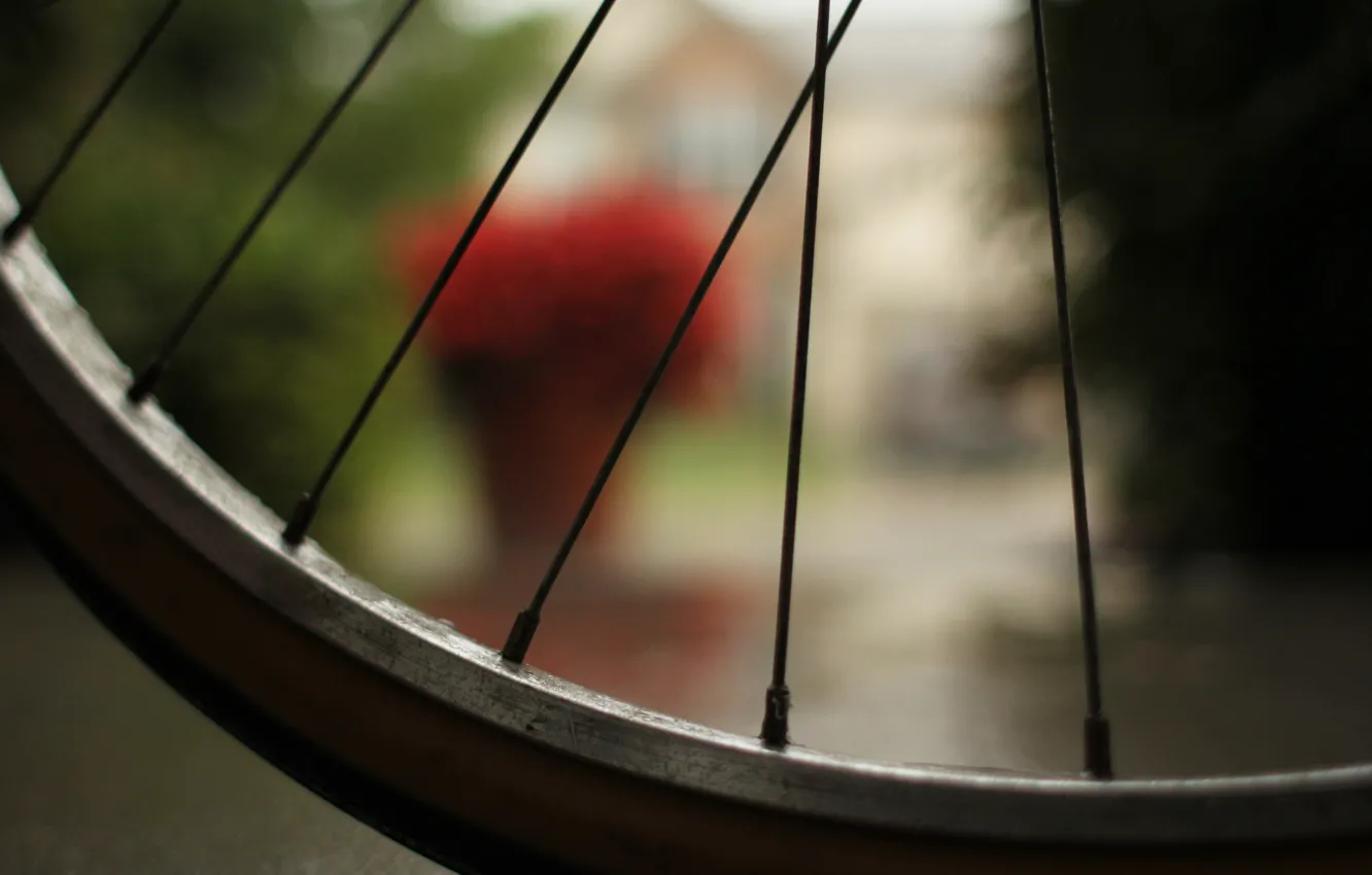 Фото обои макро, велосипед, колесо, спицы, bicycle, macro, bokeh, эффект боке