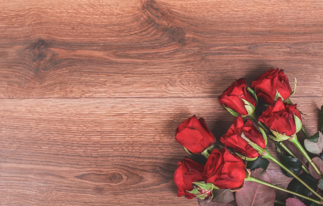 Фото обои цветы, розы, букет, красные, red, wood, flowers, romantic
