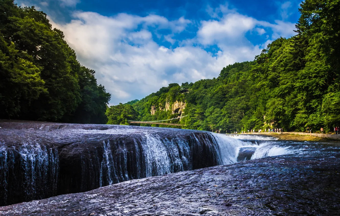 Фото обои лес, река, водопад, Япония, Japan, водопад Фукиваре, Gunma, Katashina River