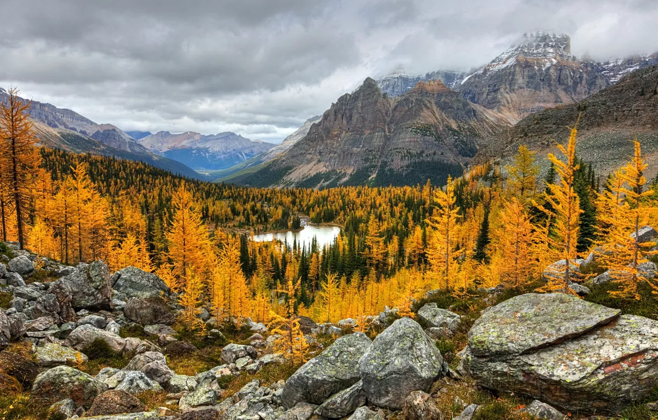 Фото обои British Columbia, Yoho National Park, Golden Glow