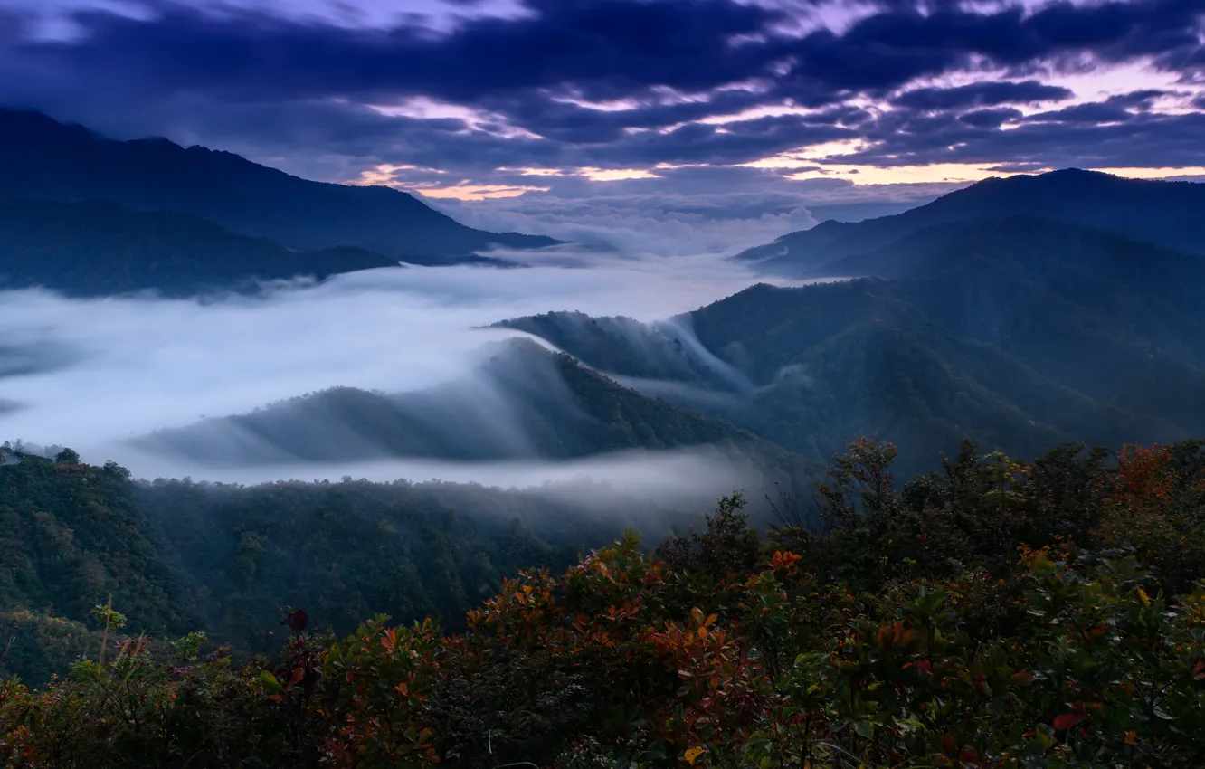 Фото обои осень, листья, облака, горы, ночь, тучи, туман, обрыв