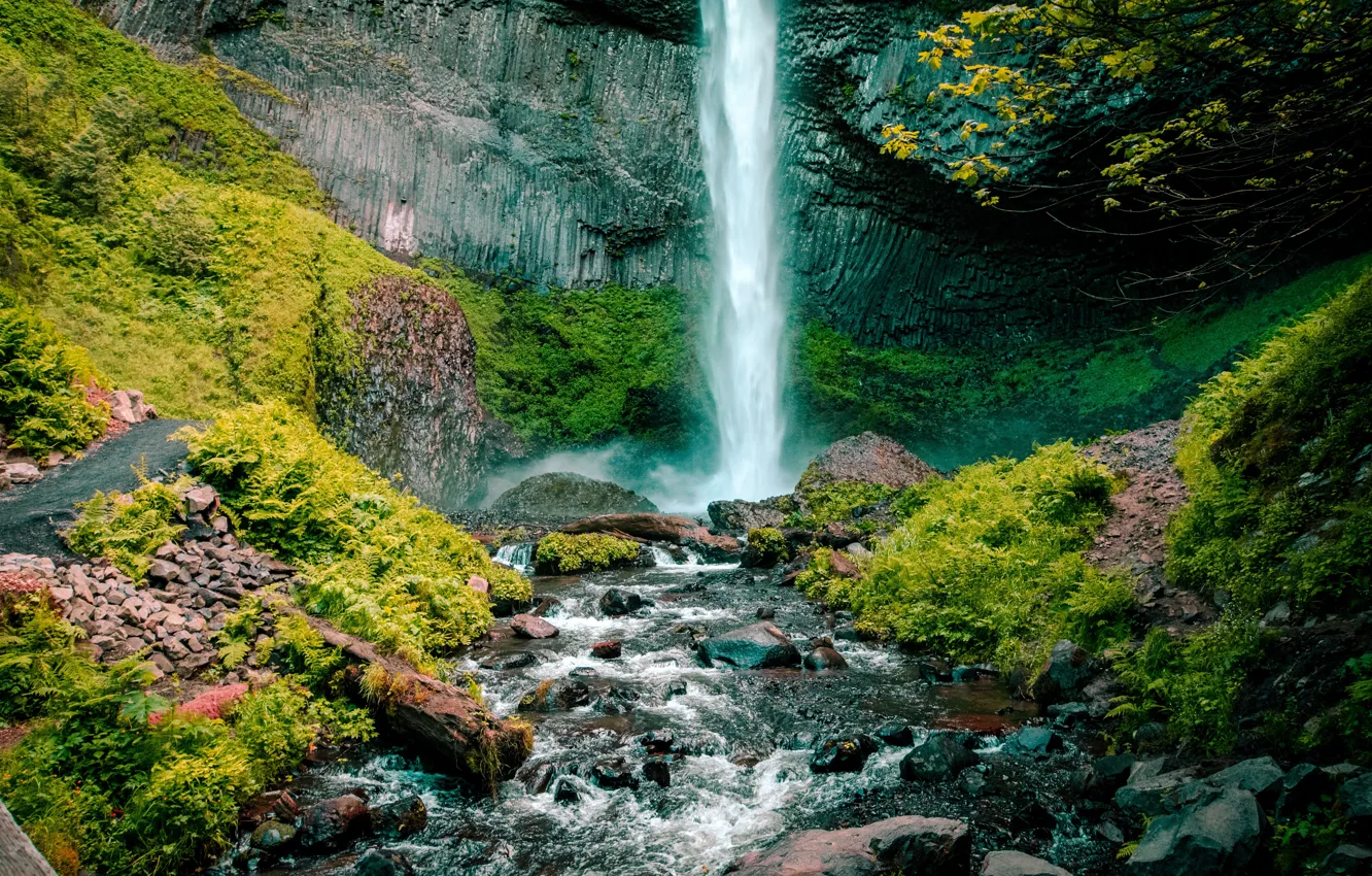 Фото обои скала, камни, листва, водопад, красота, rock, nature, rocks