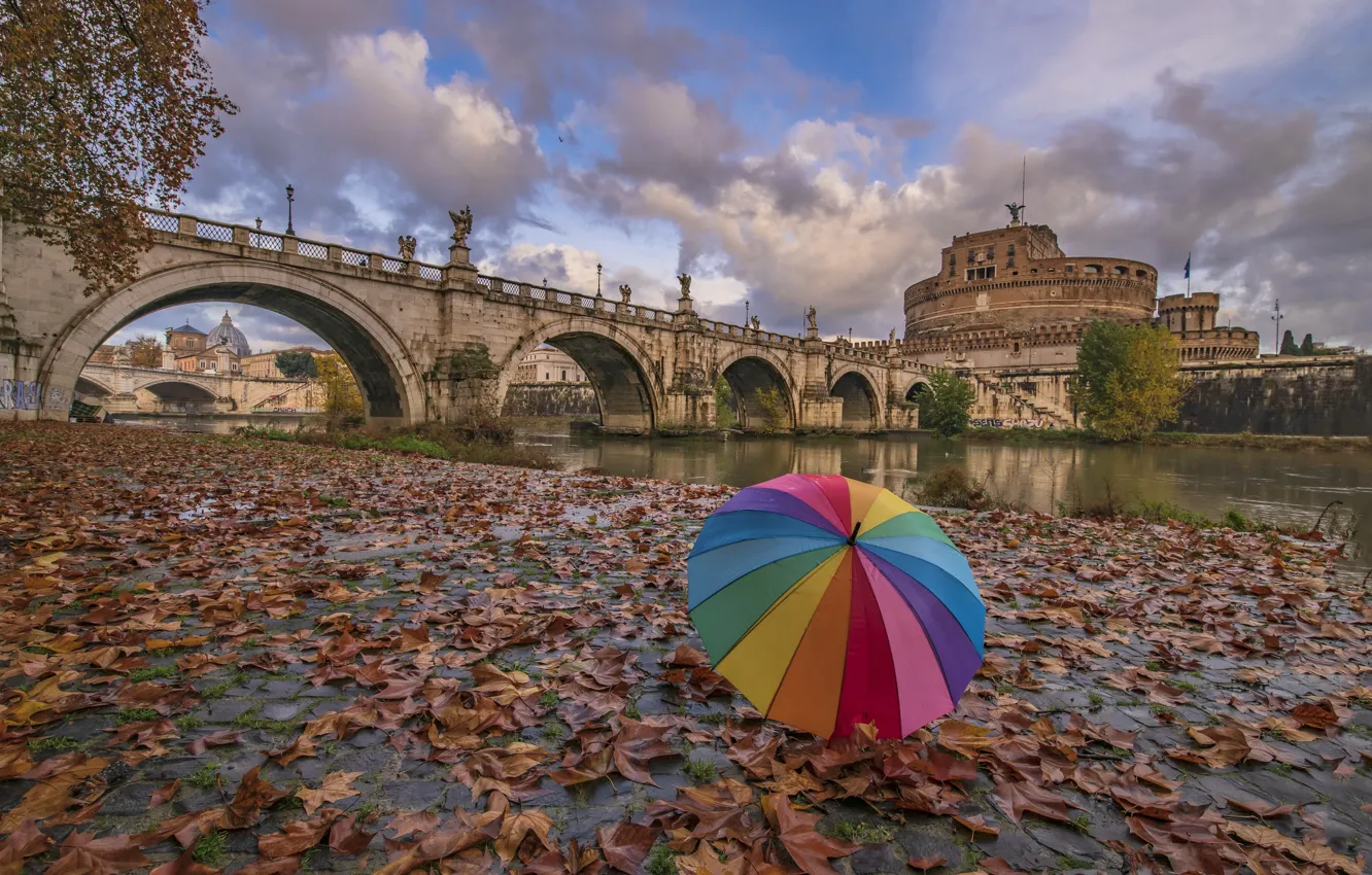 Фото обои мост, город, река, зонт