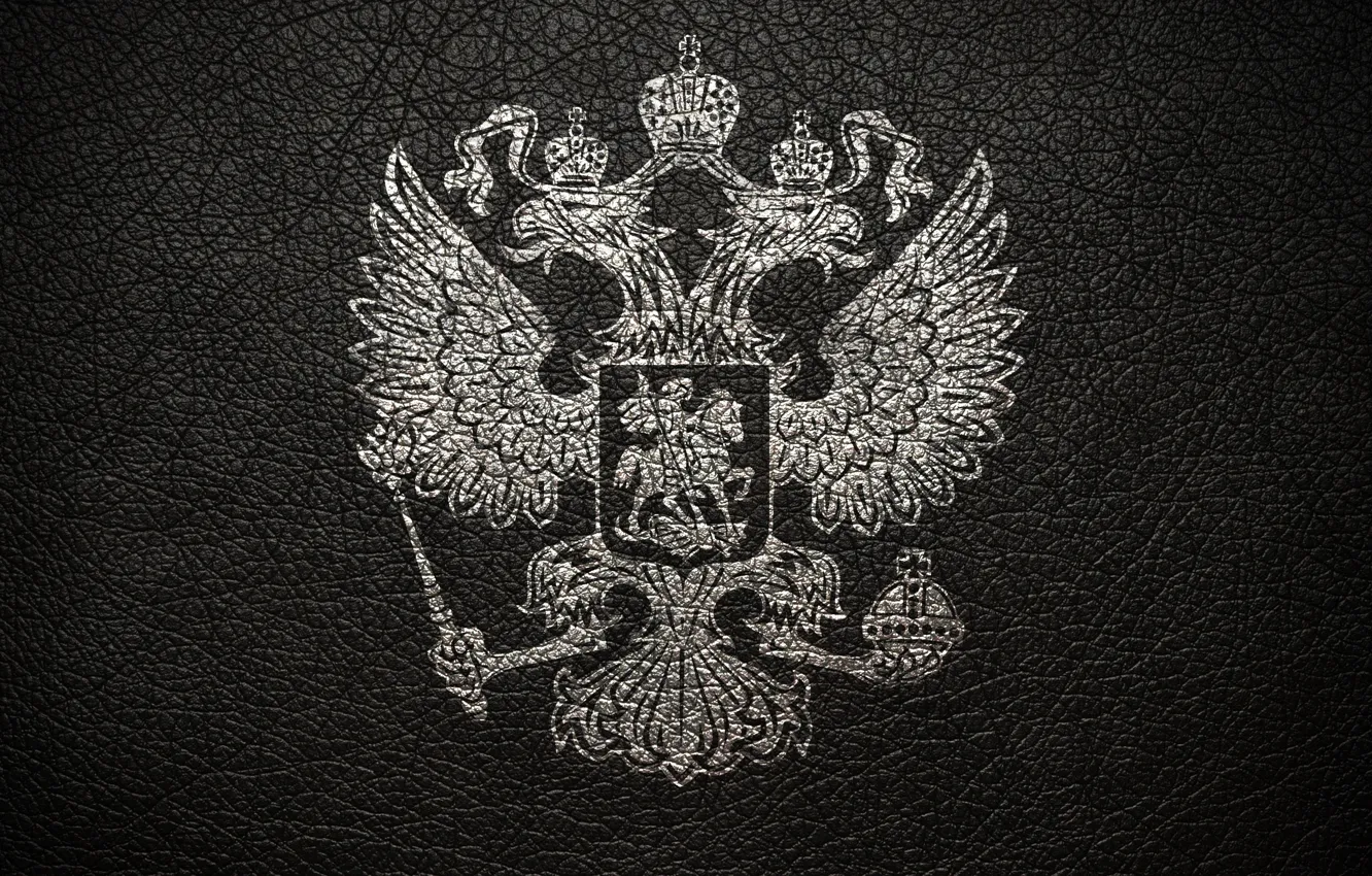 Фото обои серый, кожа, герб, россия