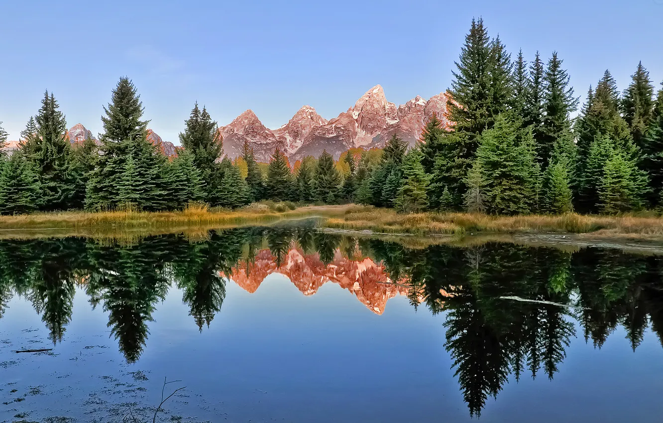 Фото обои лес, горы, озеро, отражение, ели