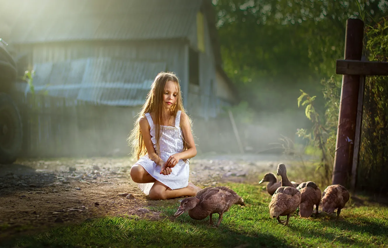 Фото обои лето, природа, дом, утки, девочка, ребёнок, Dmitry Usanin, Дмитрий Усанин