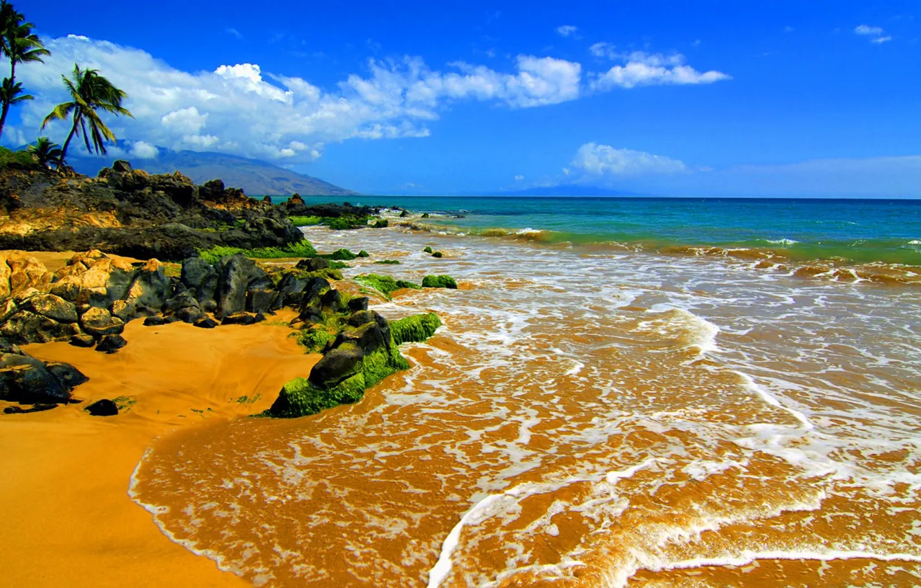 Фото обои пляж, камни, пальмы, океан, Hawaii, Maui, Big Beach