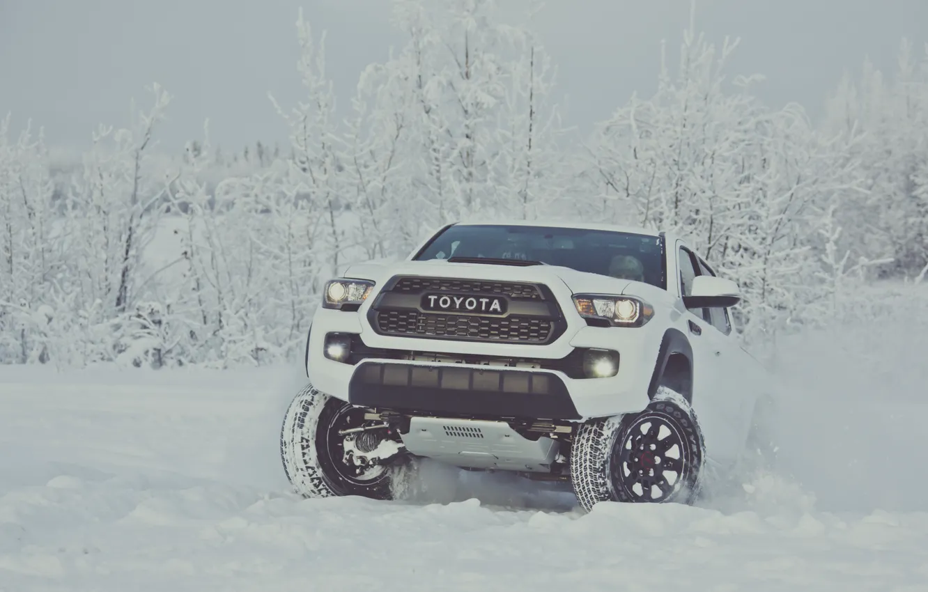 Фото обои зима, снег, white, Toyota, пикап, snow, pickup, TRD