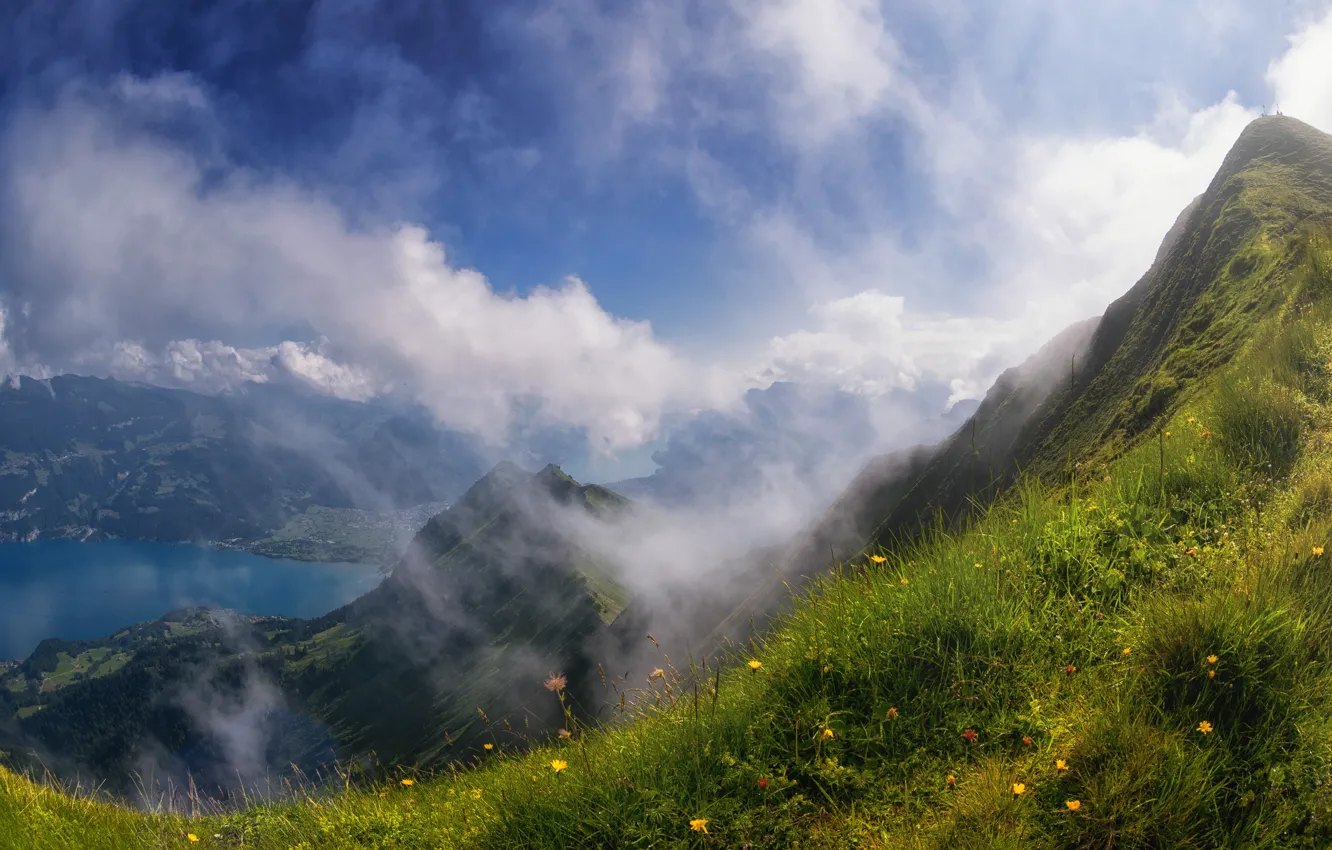 Фото обои зелень, лето, небо, трава, облака, цветы, горы, туман