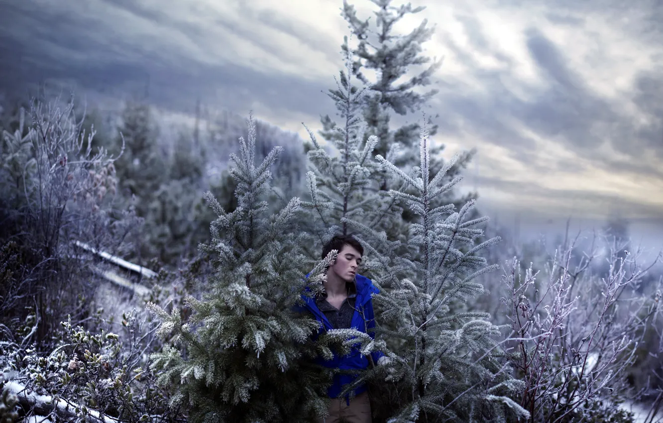 Фото обои sky, trees, art, snow, cold, portrait, self