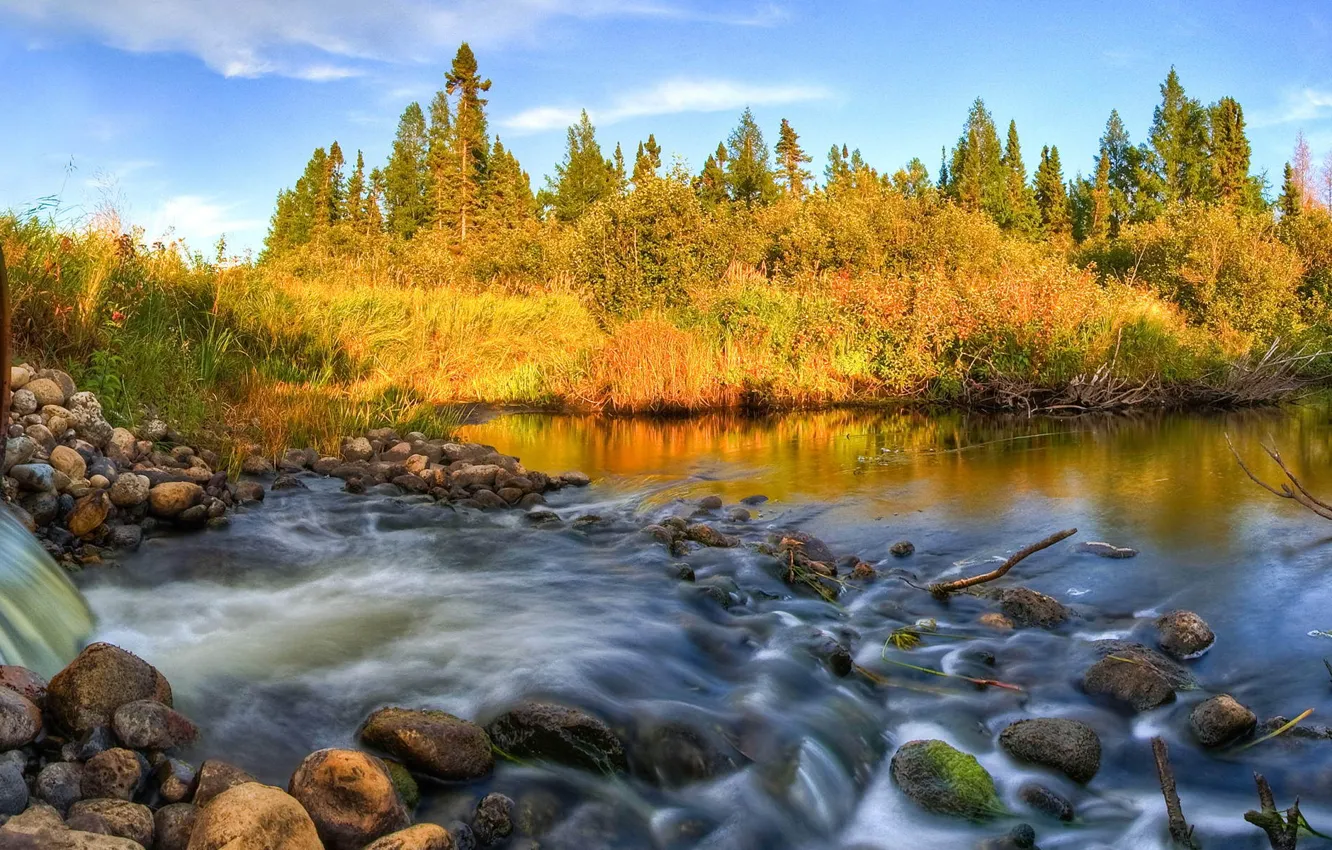 Фото обои лес, река, камни, труба, панорама, слив