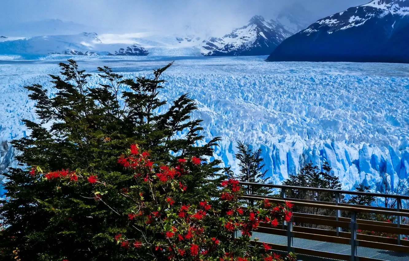 Фото обои горы, мост, ледник, Argentina, Аргентина, Анды, Patagonia, Патагония