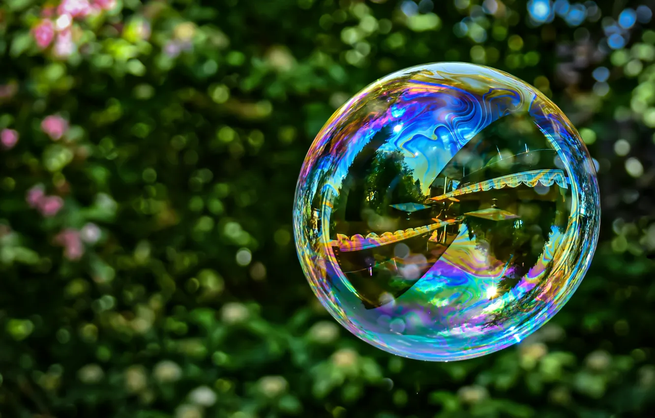 Фото обои прозрачный, отражение, шар, шарик, мыльные пузыри, разноцветный, мыльный пузырь