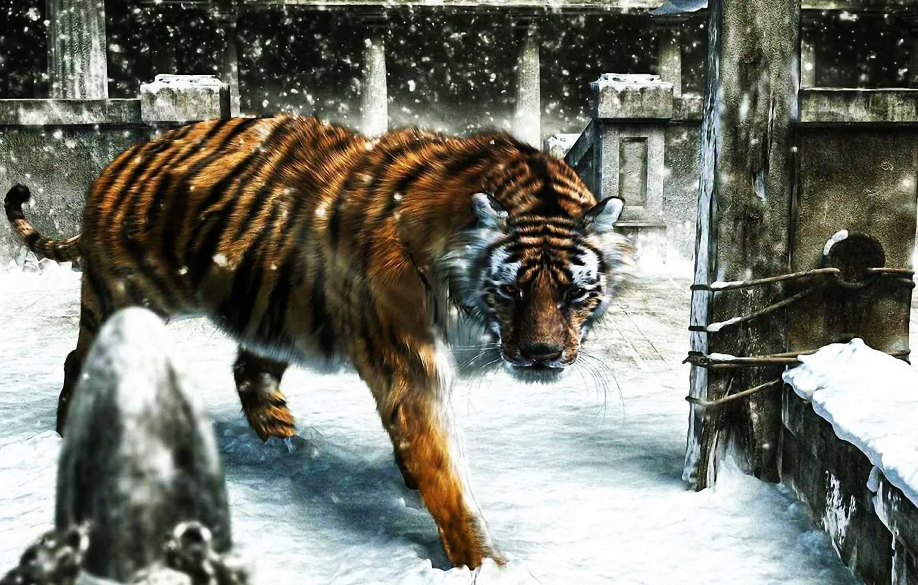 Фото обои зима, снег, тигр, рендеринг, идет