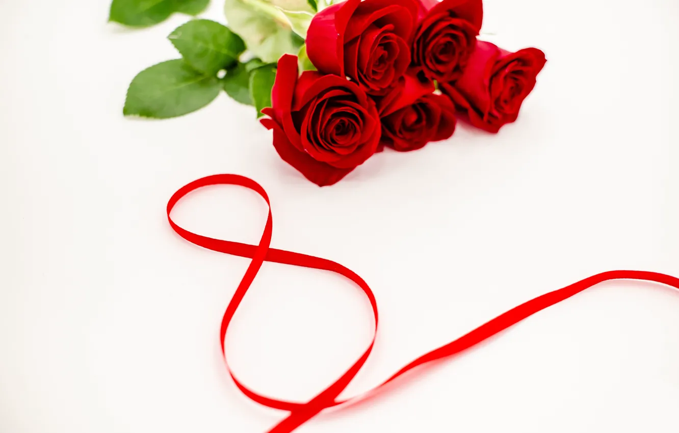 Фото обои цветы, розы, лента, красные, red, 8 марта, flowers, romantic