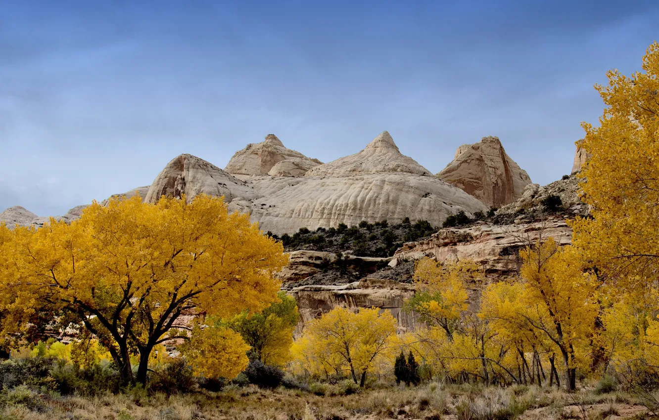 Фото обои осень, скалы, Юта, США, Капитол-Риф, Capitol Reef National Park