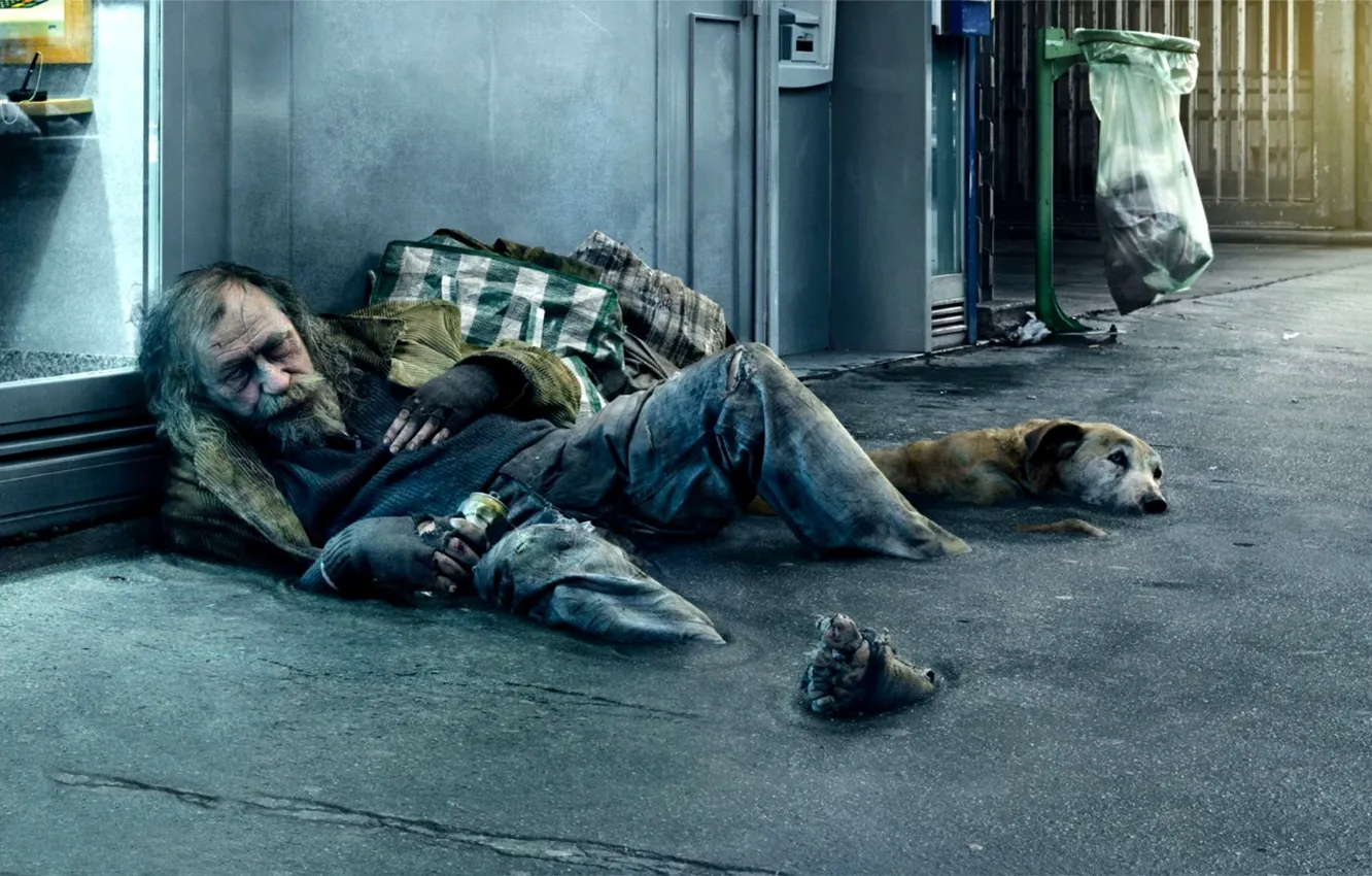 Фото обои улица, человек, собака, бездомный, нищий