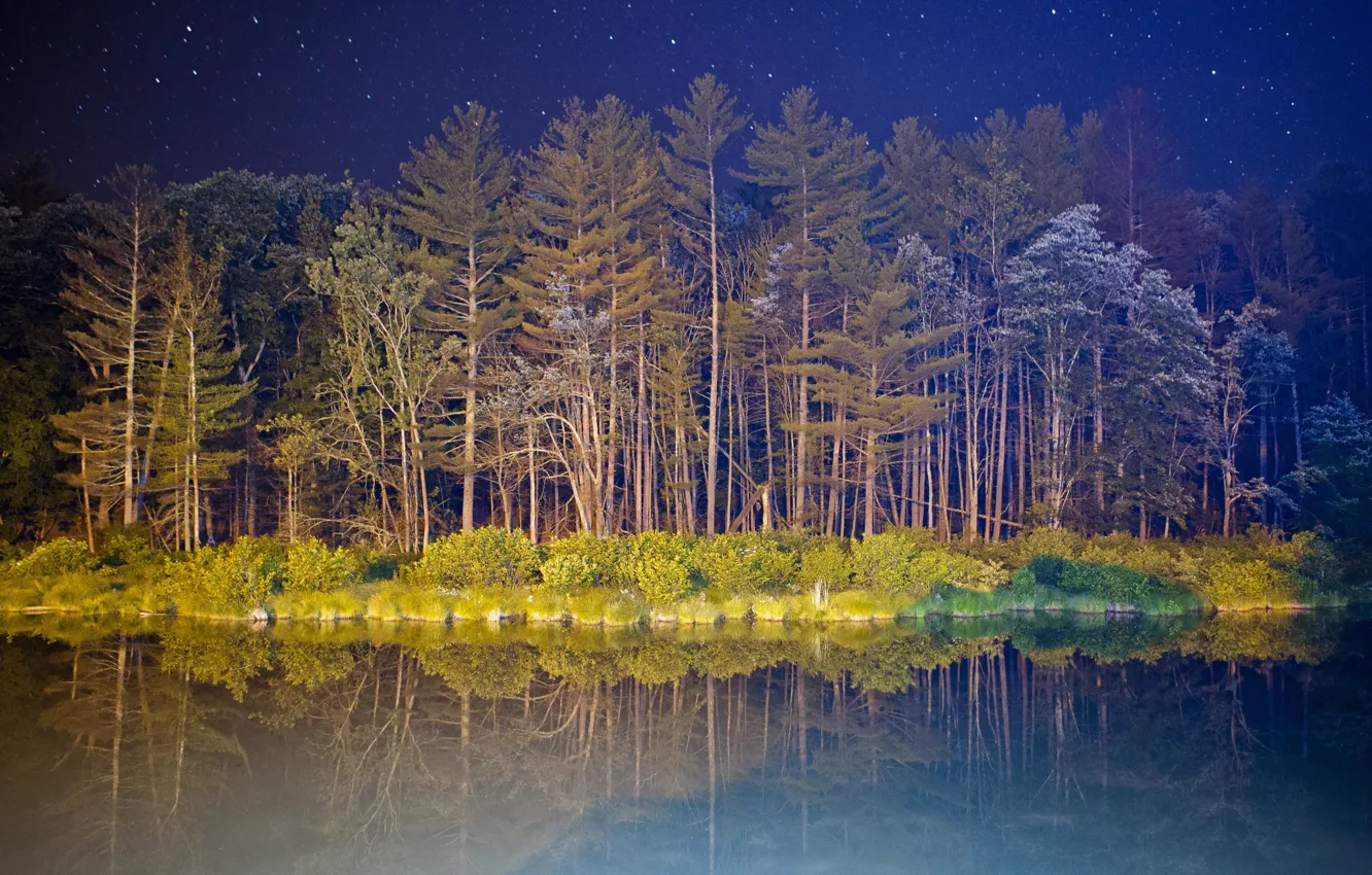 Фото обои небо, вода, звезды, свет, деревья, озеро, отражение, Ночь